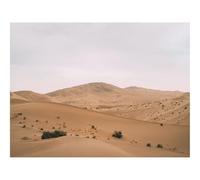 1000 Pieces Jigsaw Puzzles for Adults With Letters On Back-Desert,hill,dunes 70x50cm
