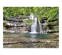 1000 Pieces Jigsaw Puzzles for Adults With Letters On Back-Falls,tree,branch 70x50cm