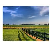 1000 Pieces Jigsaw Puzzles for Adults With Letters On Back-Fence,fields,greens 70x50cm