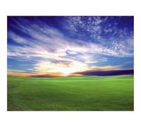 1000 Pieces Jigsaw Puzzles for Adults With Letters On Back-Field,decline 70x50cm