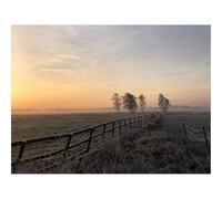 1000 Pieces Jigsaw Puzzles for Adults With Letters On Back-Field,fog,sunrise 70x50cm