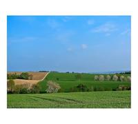 1000 Pieces Jigsaw Puzzles for Adults With Letters On Back-Field,grass,hills 70x50cm