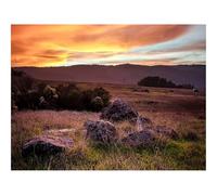1000 Pieces Jigsaw Puzzles for Adults With Letters On Back-Field,grass,stones 70x50cm