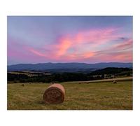 1000 Pieces Jigsaw Puzzles for Adults With Letters On Back-Field,haystack,trees 70x50cm