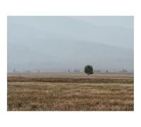 1000 Pieces Jigsaw Puzzles for Adults With Letters On Back-Field,mountains,fog 70x50cm