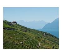 1000 Pieces Jigsaw Puzzles for Adults With Letters On Back-Field,plantation,mountains 70x50cm