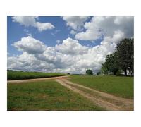 1000 Pieces Jigsaw Puzzles for Adults With Letters On Back-Field,road,home 70x50cm