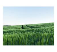 1000 Pieces Jigsaw Puzzles for Adults With Letters On Back-Field,trace,hill 70x50cm