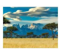 1000 Pieces Jigsaw Puzzles for Adults With Letters On Back-Field,trees,mountains 70x50cm