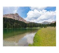 1000 Pieces Jigsaw Puzzles for Adults With Letters On Back-Field,trees,river 70x50cm