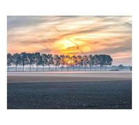 1000 Pieces Jigsaw Puzzles for Adults With Letters On Back-Field,trees,sunset 70x50cm