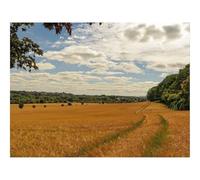 1000 Pieces Jigsaw Puzzles for Adults With Letters On Back-Field,wheat,path 70x50cm