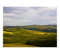 1000 Pieces Jigsaw Puzzles for Adults With Letters On Back-Fields,italy,montalcino 70x50cm
