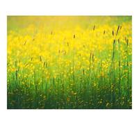 1000 Pieces Jigsaw Puzzles for Adults With Letters On Back-Flowers,field,yellow 70x50cm