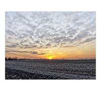 1000 Pieces Jigsaw Puzzles for Adults With Letters On Back-Fog,field,sky 70x50cm