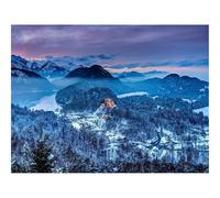 1000 Pieces Jigsaw Puzzles for Adults With Letters On Back-Germany,castle,southern,bavaria 70x50cm