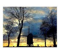 1000 Pieces Jigsaw Puzzles for Adults With Letters On Back-Mill,Trees,Twilight,Evening,Outlines,Sky,Serenity 70x50cm