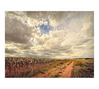 1000 Pieces Jigsaw Puzzles for Adults With Letters On Back-Road,Field,Landscape 70x50cm