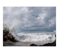 1000 Pieces Jigsaw Puzzles for Adults With Letters On Back-Sea,Coast,Stones,Foam 70x50cm