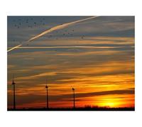 1000 Pieces Jigsaw Puzzles for Adults With Letters On Back-Sky,Birds,Evening,Decline,Orange,Twilight,Landscape 70x50cm