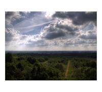 1000 Pieces Jigsaw Puzzles for Adults With Letters On Back-Sky,Trees,Height,Shadows,Roads,Agriculture 70x50cm