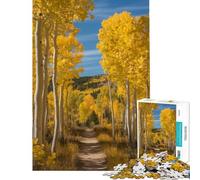 1000 Pieces Jigsaw Puzzles for Teenagers Autumn Aspen Trees Along A Path Puzzles for Adults Family Game Improve Memory Fun Activities at Home (Size 38x26cm)