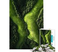 1000 Pieces Jigsaw Puzzles for Teenagers Carpathian Mountains Romania Valley Puzzle for Adults Hands-on Game Staycation Kill Time Christmas Birthday Gifts (Size 38x26cm)