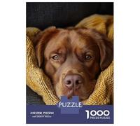 1000 Pieces Jigsaw Puzzles for Teenagers Cozy Brown Labrador Retriever Portrait Adult Jigsaw Puzzle Family Game Perfect Decoration Fun Activities at Home 70x50cm/1000pcs