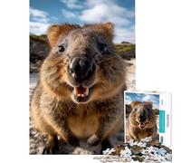 1000 Pieces Jigsaw Puzzles for Teenagers Grinning Quokka Fun Activities at Home Learning Educational Family Game for And 14 Years And over (38X52CM)