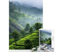 1000 Pieces Jigsaw Puzzles for Teenagers Lush Green Tea Plantation Landscape Educational Games Improve Memory Home Decoration Toys Birthday Present, Gifts, (52X38cm)