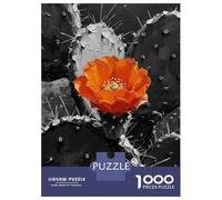 1000 Pieces Jigsaw Puzzles for Teenagers Orange Flower on Black And White Cactus Jigsaws for Adults Family Game But Fun And Humorous Christmas Birthday Gifts 38x26cm/1000pcs