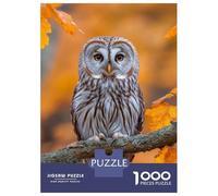 1000 Pieces Jigsaw Puzzles for Teenagers Owl Perched on Branch in Autumn Jigsaw for Adults Hands-on Game Pattern Assembly Fun at Home Activities, 52x38cm/1000pcs