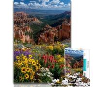 1000 Pieces Jigsaw Puzzles For Teens And Adults Beautiful Mountain River Adult Jigsaw,Staycation Kill Time with Fully Interlocking Randomly Shaped Pieces 26x38cm