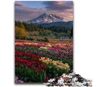 1000 Pieces Jigsaw Puzzles For Teens And Adults Beautiful Mountain River Puzzles,deal As Gifts for The Whole Family for Ages 14+ (38x26cm)
