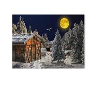 1000 Pieces Jigsaw Puzzles，Winter Landscape，Kids And Adults Paper Personalised Assembling Jigsaw Fun Game（50x70cm）-Q99