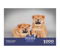 1000 Pieces Jigsaws Adults Puzzles Chow Chow Puppies Puzzle for Adults Brain Teaser Game Pattern Assembly Difficult And Challenge 52x38cm/1000pcs