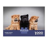 1000 Pieces Jigsaws Adults Puzzles Chow Chow Puppies Puzzle for Adults Brain Teaser Game Pattern Assembly Difficult And Challenge 38x26cm/1000pcs