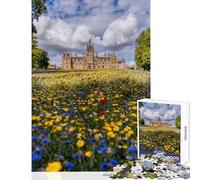 1000 Pieces Jigsaws Adults Puzzles Dundee Morgan Academy Toy Wall Decor Great Gift for Games Relax Games Improving Love between Couples Size 38x26cm