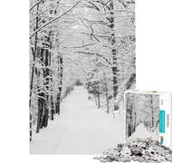 1000 Pieces Jigsaws Adults Puzzles Gifts Snowing in Forest Puzzles for Adults Hands-on Game Home Decoration Birthday Present, Gifts, (Size 38x52cm)