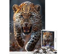 1000 Pieces Jigsaws Adults Puzzles Leopard Close-Up Puzzles for Teenagers Staycation Kill Time Train Your Brain And Hands Unique Challenge Game (50x75cm)