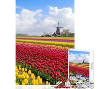 1000 Pieces Jigsaws Adults Puzzles Netherlands Tulip Fields Educational Game Pattern Assembly Anti-Stress Toys Great Gifts for Gaming (50X75CM)
