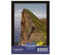 1000 Pieces Jigsaws Adults Puzzles Rock Mountain near The Sea Jigsaws for Adults Hands-on Game Analysis And Logic Difficult And Challenge 38x26cm/1000pcs