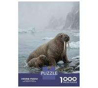 1000 Pieces Jigsaws Adults Puzzles Walrus Mother And Pup on Shore Jigsaw for Adults Brain Teaser Game Analysis And Logic Unique Gifts for Birthday And Christmas 38x26cm/1000pcs