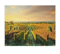 1000 Pieces Landscape Puzzles DIY，Bolgheri Vineyard at Sunset, Maremma, Tuscany，Jigsaw Creativity Toys for Kids Adults（50x70cm）-V33