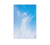 1000 Pieces Landscape Puzzles DIY，Cloud angels in the sky，Jigsaw Creativity Toys for Kids Adults（75x50cm）-AL7