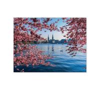 1000 Pieces Landscape Puzzles DIY，Japanese cherry blossoms on the Binnenalster，Jigsaw Creativity Toys for Kids Adults（75x50cm）-AT16