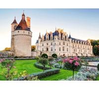 1000 Pieces Linden Bright Colorful Art Pictures Jigsaw Puzzles Cartoon Home Decoration Chenonceau Chateau Castle Lawn 38x52CM