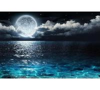 1000 pieces moon rising over the sea paper puzzle educational toy for adults 26 x 38 cm