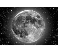 1000 pieces moon rising over the sea paper puzzle educational toy for adults 38 x 52 cm