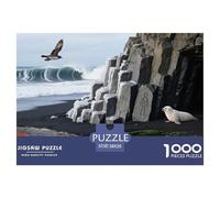 1000 Pieces Natural Scenery Jigsaw Puzzles Vik Black Beach Iceland Challenge High Difficulty for Adults Home Decorations Educational Game Age 12+ for Adults 38x26cm/1000pcs